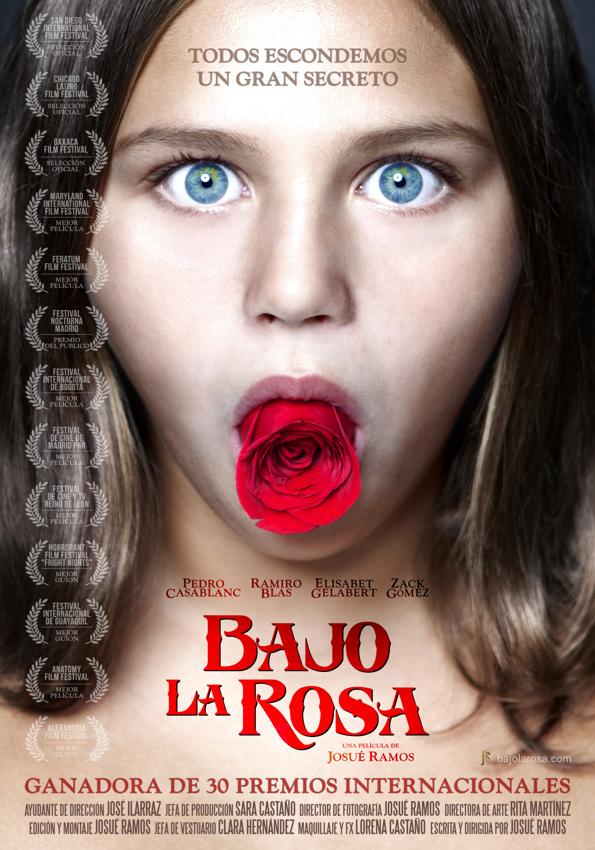 O Enigma da Rosa